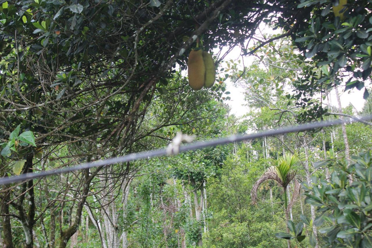 Arabian Nights Munnar Vila Exterior foto